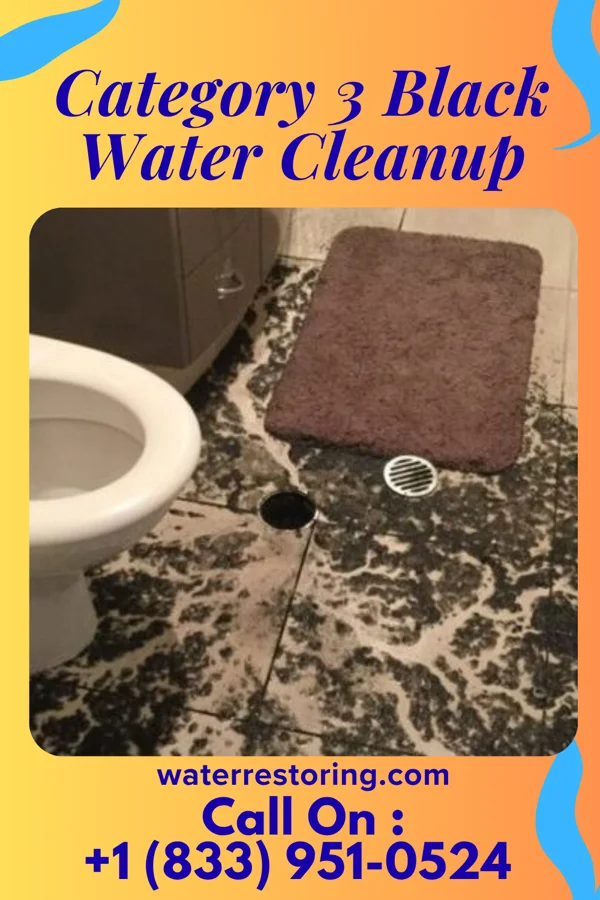 Category 3 Black Water Cleanup in Lyndonville, NY