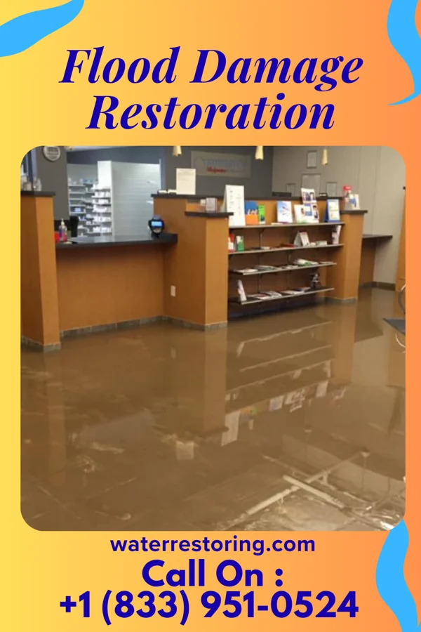 Flood Damage Restoration in Lyndonville, NY
