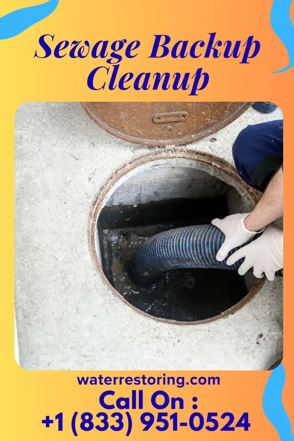 Sewage Backup Cleanup in Lyndonville, NY